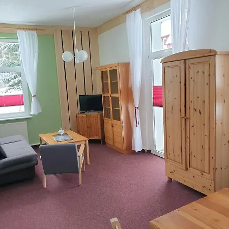 Apartment Erzgebirgsidyll Breitenbrunn Breitenbrunn (Saxony)