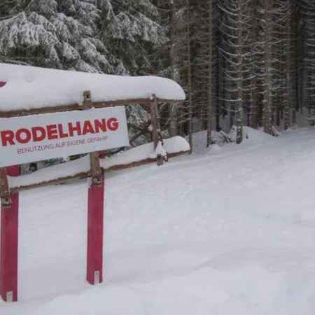 Appartamento Erzgebirgsidyll Breitenbrunn (Saxony)