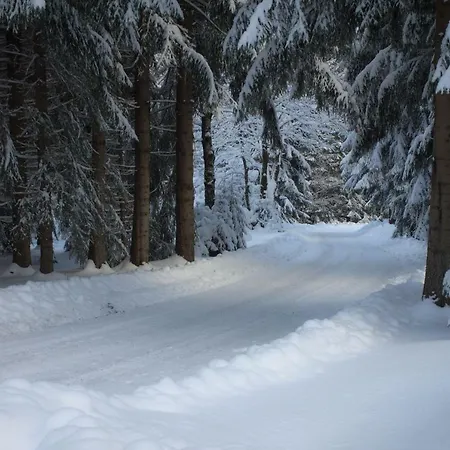 Erzgebirgsidyll Breitenbrunn (Saxony)