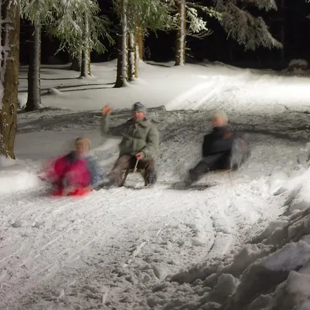 Appartement Erzgebirgsidyll