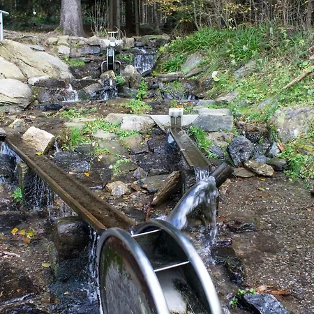 Apartament Erzgebirgsidyll