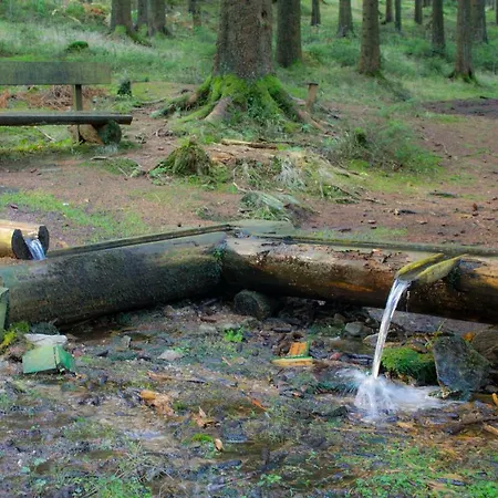 Erzgebirgsidyll Breitenbrunn (Saxony)