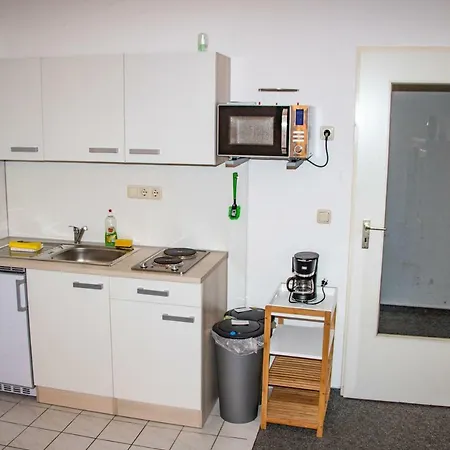 Apartament Erzgebirgsidyll Breitenbrunn (Saxony)