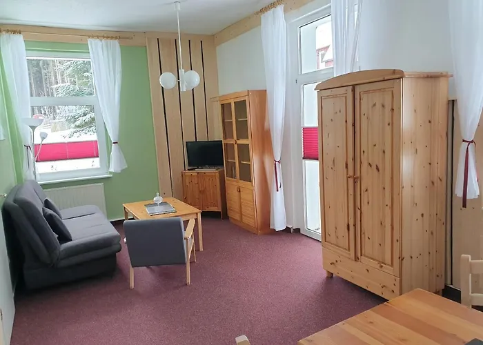 Апартаменты Erzgebirgsidyll Брайтенбрунн