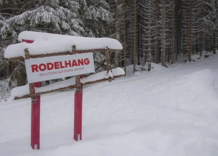 Апартаменты Erzgebirgsidyll Брайтенбрунн