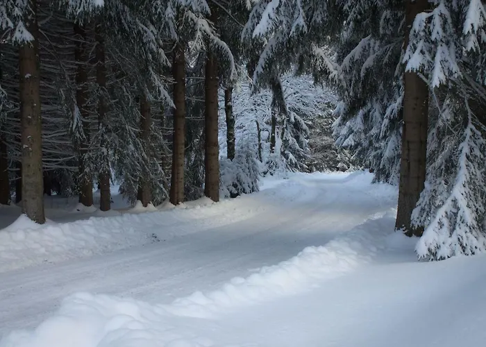 Erzgebirgsidyll Брайтенбрунн