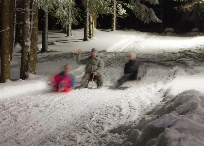 Апартаменты Erzgebirgsidyll