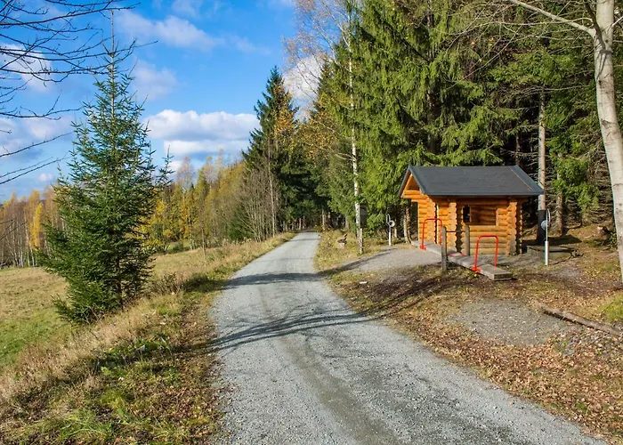 Апартаменты Erzgebirgsidyll