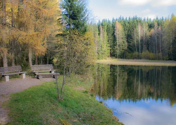 Апартаменты Erzgebirgsidyll *